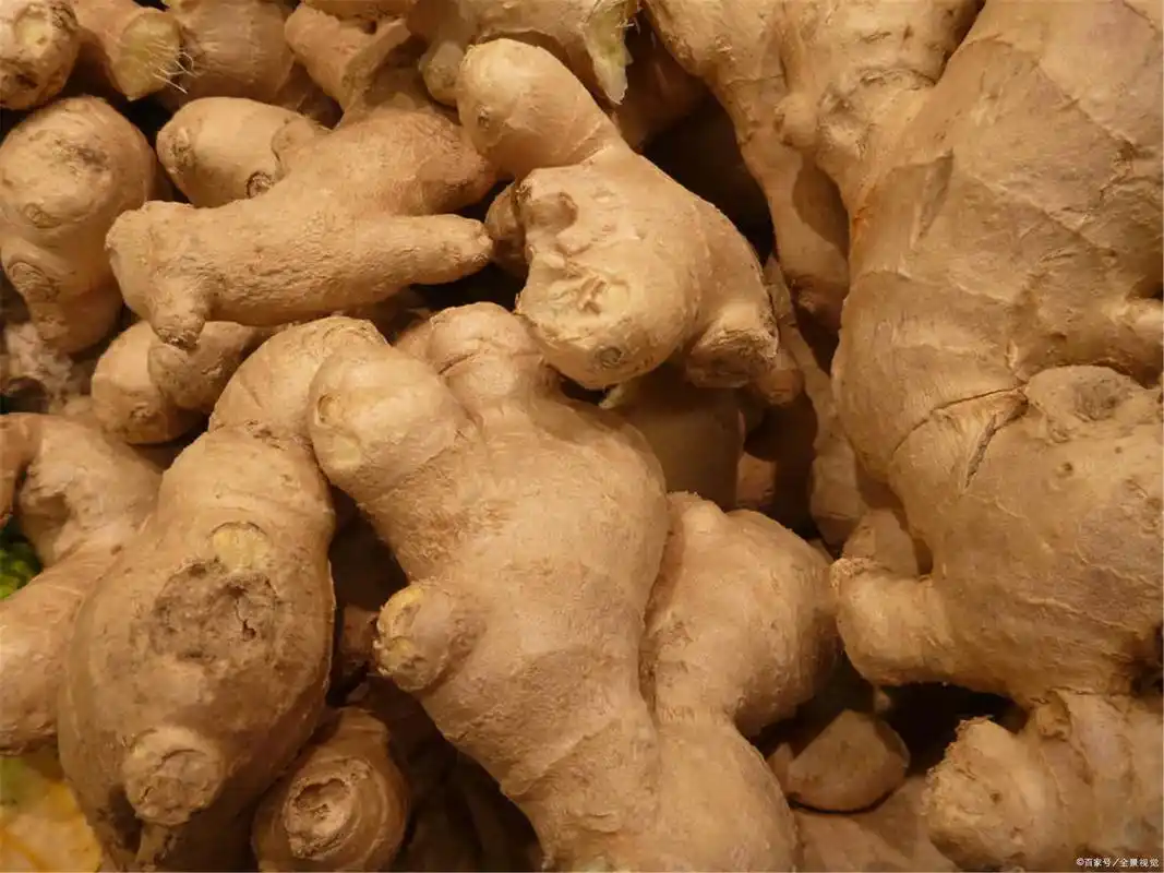 生姜- 热门商品专区