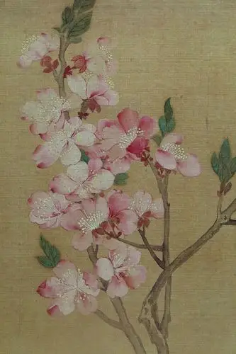 上海博物馆 清 恽寿平 花卉册之杏花