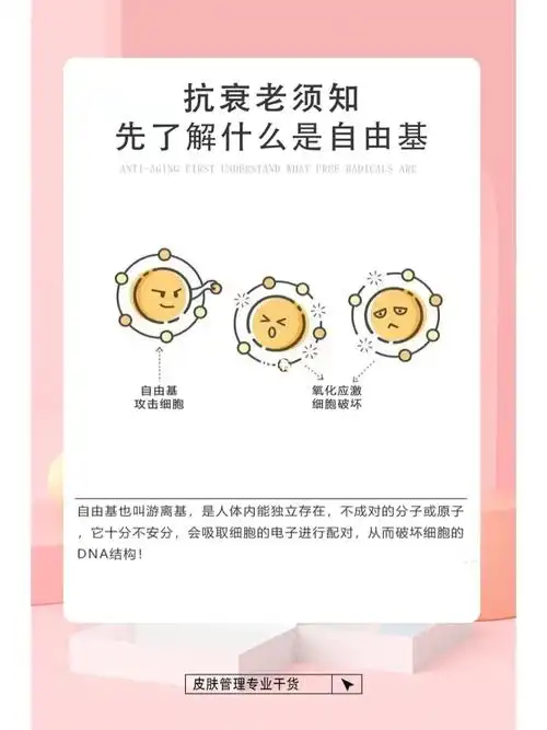 抗衰老需要了解自由基