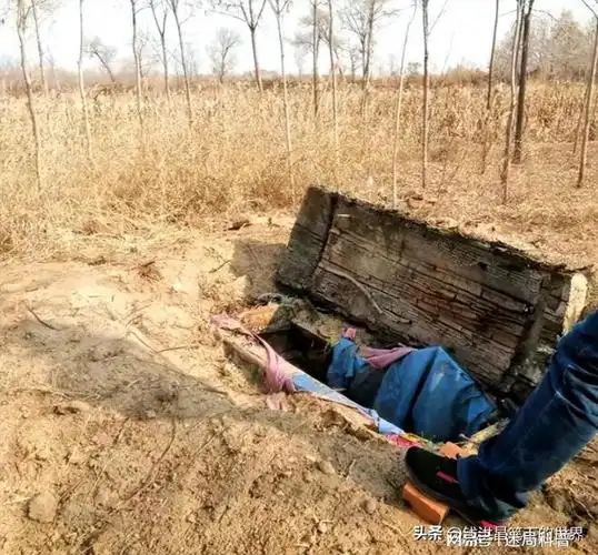 青海小苏丽:3岁被针线缝嘴,5岁被虐死,7年后又遭生母掘坟