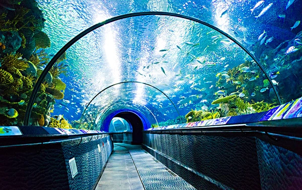 上海海洋水族馆上海海洋水族馆