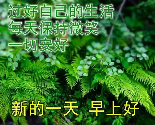 8张最新清新漂亮夏日早上好祝福图片带字温馨 好看的夏天风景早安图片