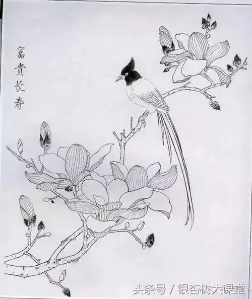 国画花朵简笔画