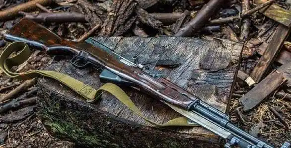 西蒙诺夫avs36的落寞,它的"背影"却引领苏式自动步枪走向成功