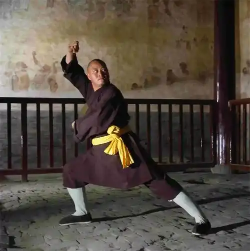 【行走河南·读懂中国】少林功夫:禅武合一-河南省文化和旅游手机报