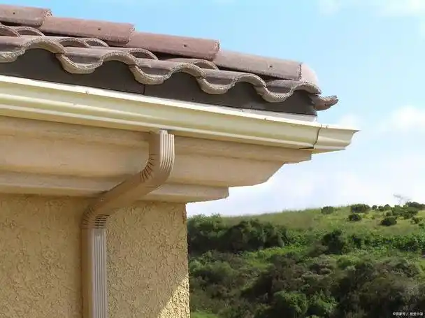 现在农村自建房都喜欢采用天沟,挑檐一体化的设计,挑檐的上部分做天沟