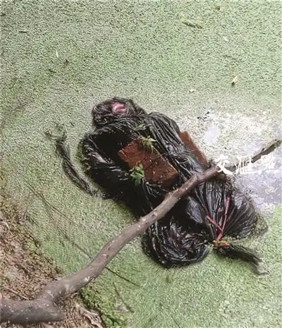 绑砖沉尸案细节:男子勒死情人后陪尸体睡2晚上
