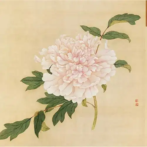 清代宫廷画家蒋廷锡《百种牡丹谱》欣赏