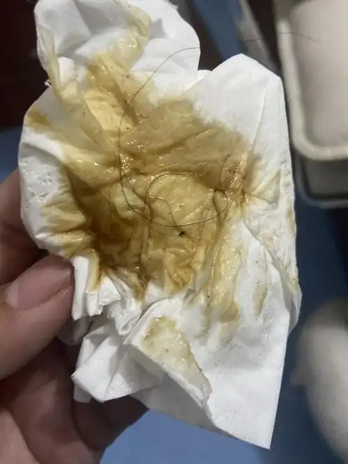 求助刚刚猫吐了褐色的一摊养猫新手求助这是什么情况有图救救孩子吧