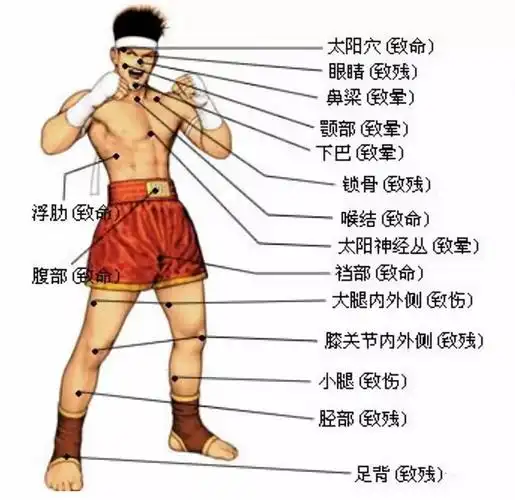 滴滴你的防身术已到账