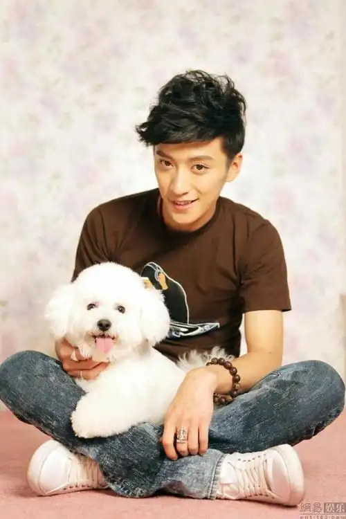 石乃文的个人资料(石乃文是怎么走的)