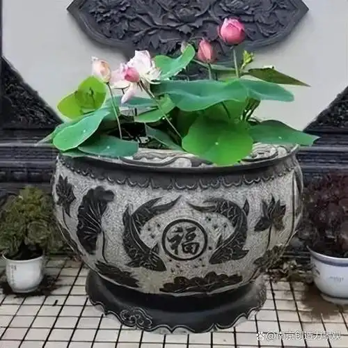 在庭院放水缸,绝不只是因为风水,还有这些作用哦