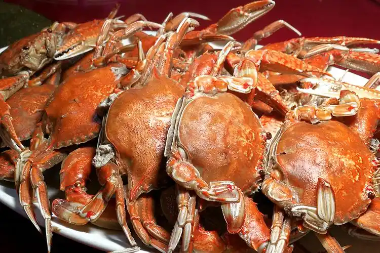 富裕的海岛,少见的海鲜——你不知道的漳州浯屿岛(一)