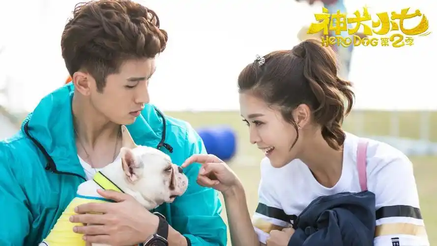 神犬小七第二季 - 完美世界影视官方网站
