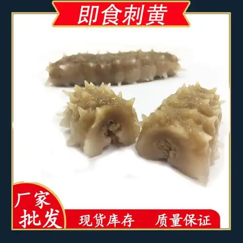 工厂货源 印尼刺黄参 白玉白金刺王即食海参500g 非印尼淡干海参