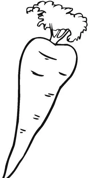 小胡萝卜头简笔画