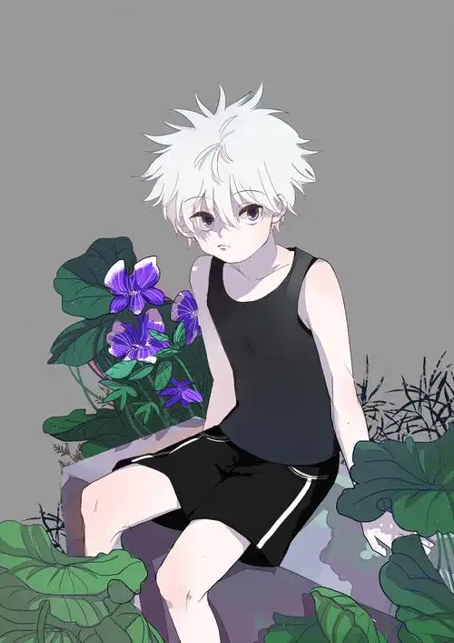 动漫美图丨全职猎人中超萌的小天使奇犽特辑