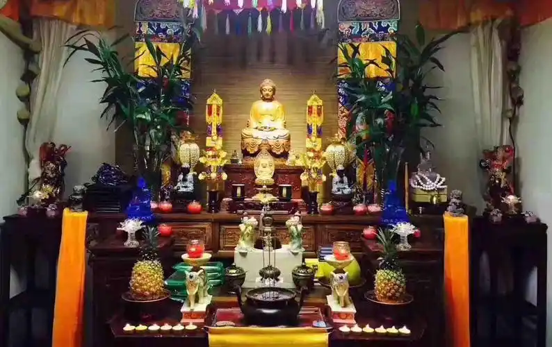 守护是最好的回馈