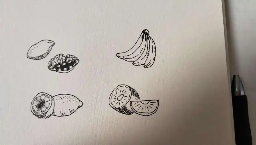 针管笔-简笔画-水果篇【简笔画万物】来源于此课程讲师:设计史太浓