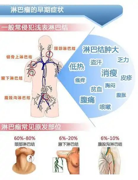 甲状腺,淋巴别傻傻分不清了_身体_血管_血细胞