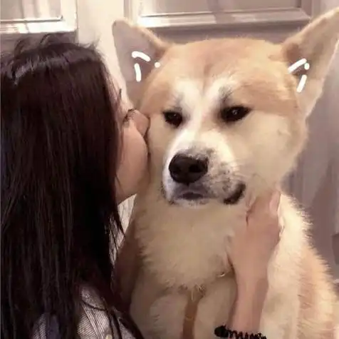 男朋友不是人系列情侣头像