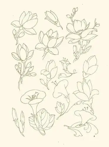 花卉纹样图片设计元素素材免费下载(图片编号:1070541)-六图网