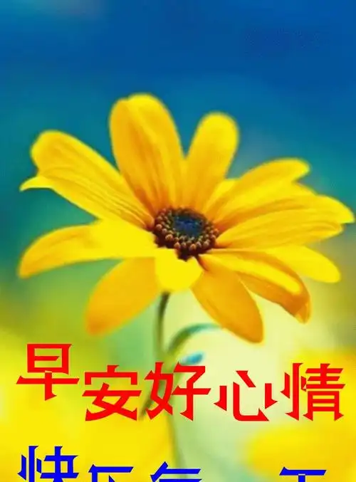 2022最新版漂亮早上好祝福美图问候语,早上好问候语温馨句子|问候语