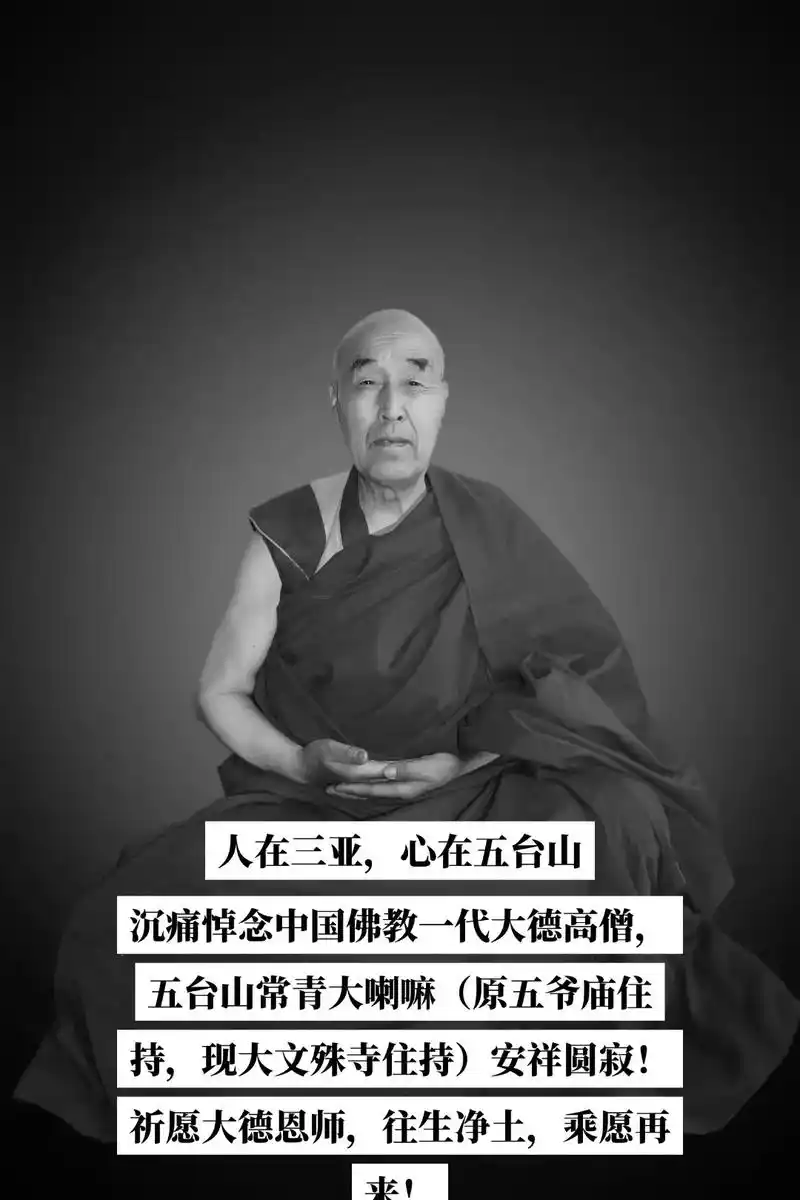 人在三亚,心在五台山  沉痛悼念中国佛教一代大德高僧,五台山 - 抖音