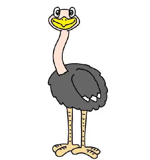 彩色驼鸟简笔画 简笔画图片大全-普车都