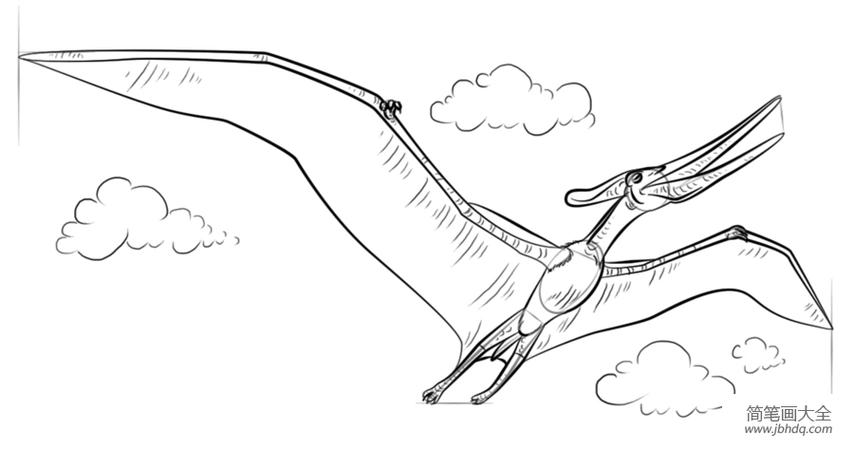如何画翼龙