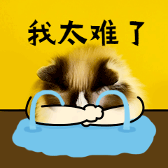 我太难了难过哭泣猫咪gif动图表情包