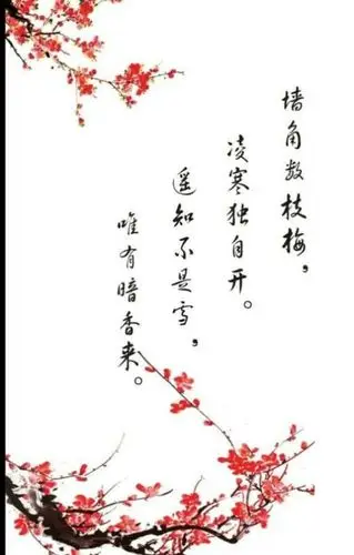 古诗《咏梅》