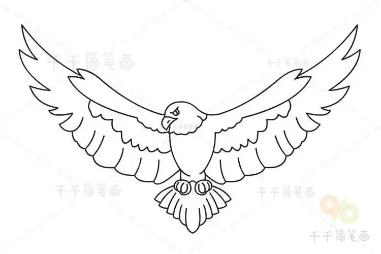 儿童老鹰简笔画图片_飞行动物简笔画