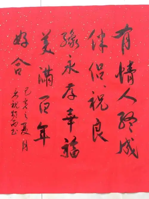 李庭光和马小靖新婚集锦