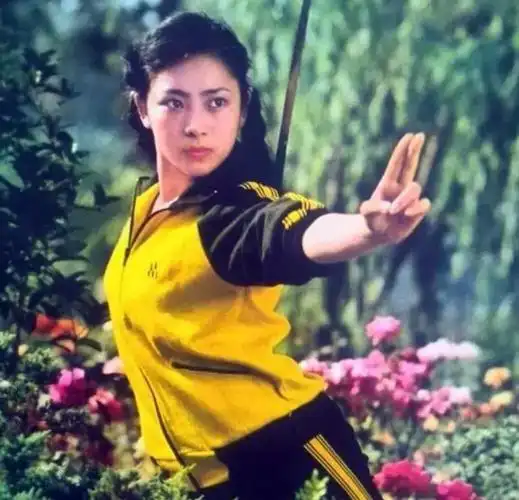 回顾红极一时过气的武打明星现状有人离世有人至今无儿女