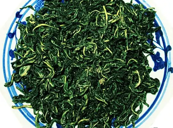 陕北特产 佳州东方红 苦菜茶 有机苦菜茶