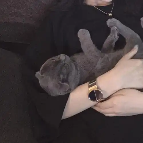 隔日|头像 半身头像 女生头像