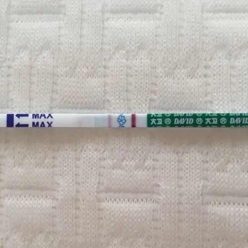 大卫早孕试纸这样,大概hcg有多少?