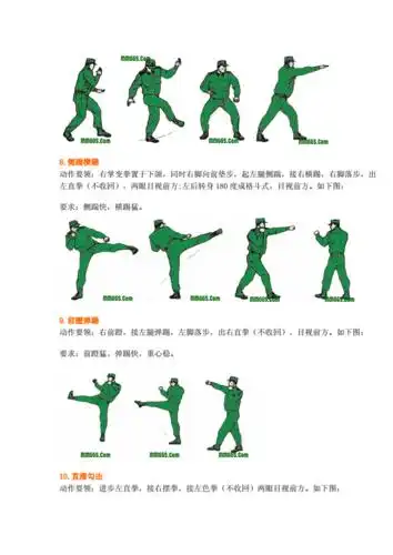 军体拳16式动作图解精要.doc