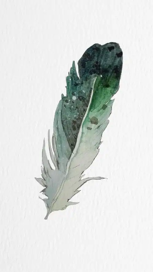 手绘羽毛