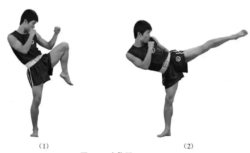 散打的基本腿法