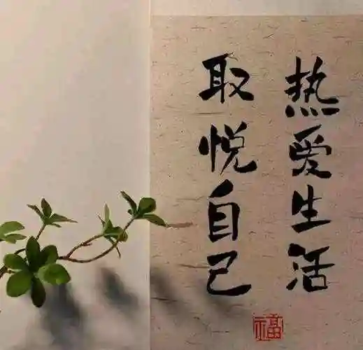 51张人间清醒,微信朋友圈背景图!