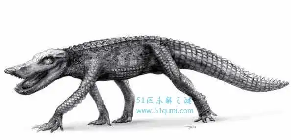 狗鳄:体型巨大十分灵活的史前鳄鱼 快速奔跑能力超猎豹