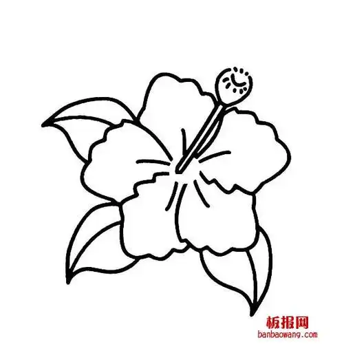 扶桑花怎样画