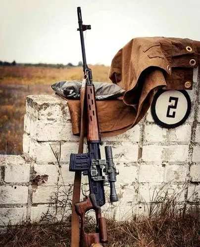 轻武器欣赏,有人偏爱木托枪械,发一组木托步枪图