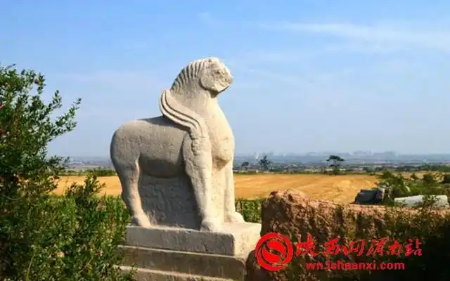 蒲城唐五陵——光陵(组图)_石刻