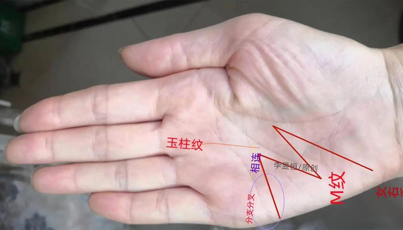 天生富贵的三种手相,你有吗?