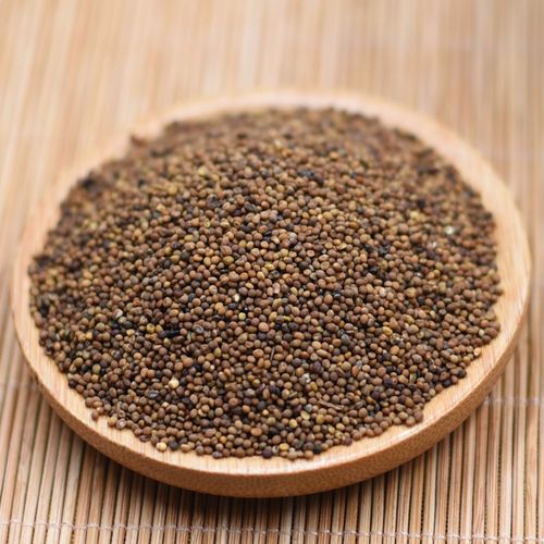 菟丝子泽群中药250克中药材补益肝肾固精缩尿茶包滋补经典方