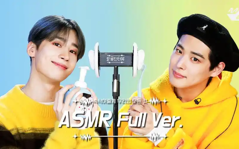 【韩胜宇·中字】210129 tingle interview 未公开