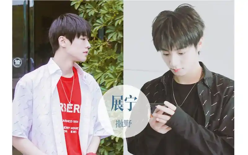 展宁李振宁施展大厂回忆向撒野